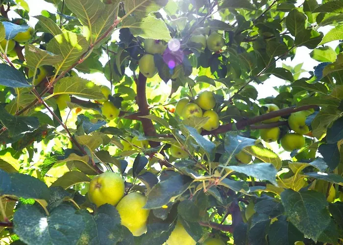 Kissos Experience Semesterbostad Kissos (Thessaly)